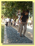 sokken023009.jpg