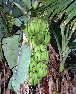 sokken032005.jpg