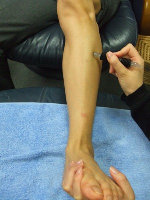 sokken058002.jpg