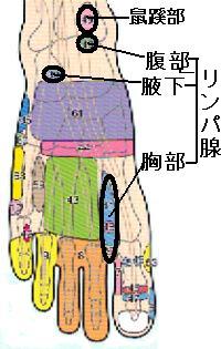 sokken066004.jpg