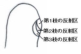 sokken074005.jpg