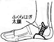 sokken075006.jpg