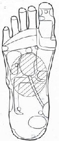 sokken076004.jpg