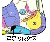 sokken077008.jpg