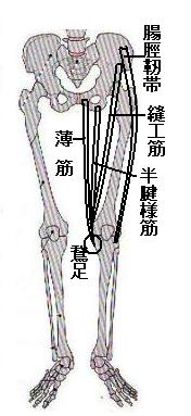 sokken077010.jpg