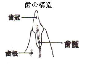 sokken081004.jpg