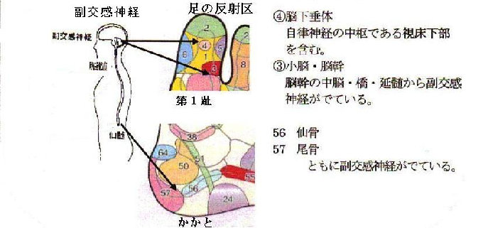 sokken087004.jpg